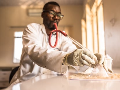 Selección de mosquitos para su estudio, usando un aspirador bucal, en el laboratorio del Ministerio de Ciencia (Kigali, Ruanda).