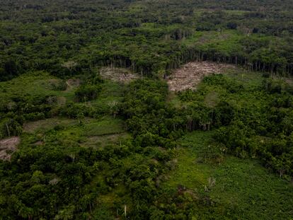Un área deforestada de la Amazonia colombiana, en marzo de 2023.