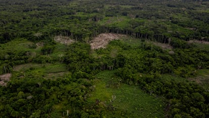 Un área deforestada de la Amazonia colombiana, en marzo de 2023.