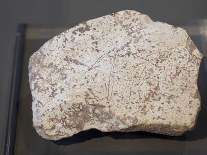 La placa con grabados de hace 14.000 años (Paleolítico Superior).