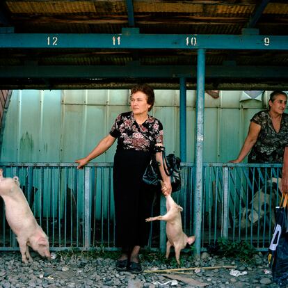Una mujer de Migrelia, Georgia, espera a vender un cerdo en un mercado de Gali. Gali, Abjasia, 2010. De la serie 'Returning Home - Croatia'. 