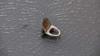 Un inodoro sale a flote durante una operación de limpieza del canal San Martín de París.