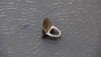 Un inodoro sale a flote durante una operaci&oacute;n de limpieza del canal San Mart&iacute;n de Par&iacute;s.
 
 