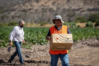 Juan Francisco Errázuriz Rivas, presidente y cofundador en 2015 de Alimentando a Cristo, trabajó en una empresa de champiñones y conoce bien el problema del desperdicio de alimentos. Por eso, ayuda a colectar hortalizas que no se venderían en el mercado, pero reparte entre población vulnerable con difícil acceso a una alimentación saludable.