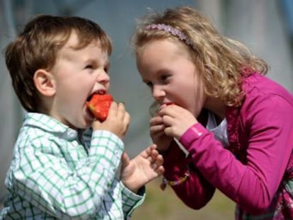 Aunque muchos crean que les ha tocado un niño  mal comedor , la actitud de los padres es clave