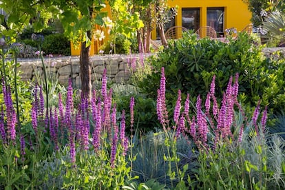 Jardn de clima mediterraneo.