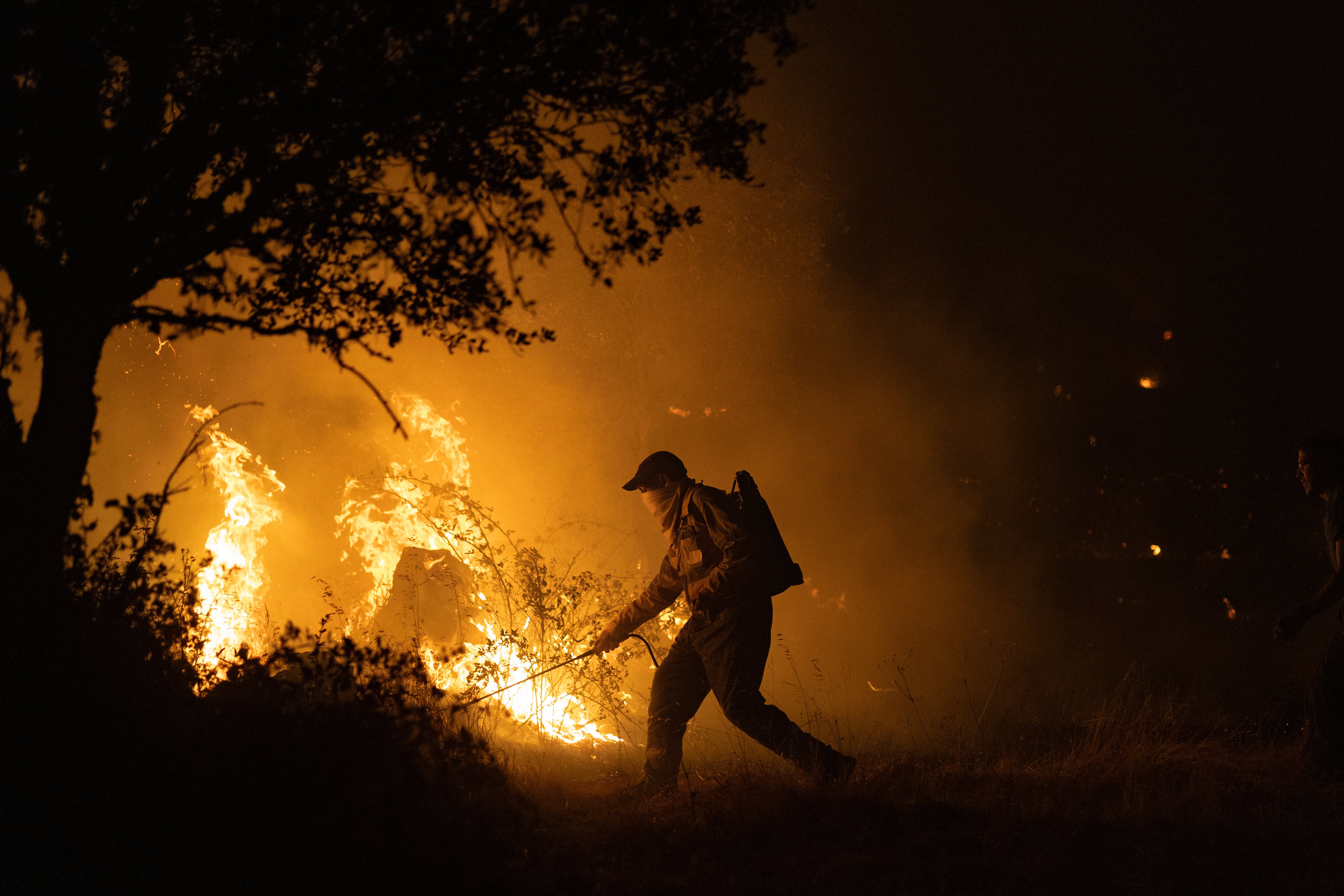 Última hora de los incendios forestales, en directo | El incendio de Zamora está descontrolado y obliga a desalojar dos poblaciones más