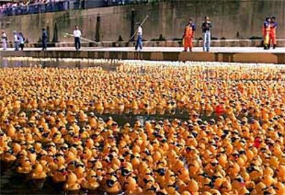 Patos de goma en el río Gombak.