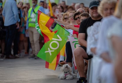 Las banderas de España y de Vox en un mitin del partido ultraderechista en Torrevieja, Alicante, el pasado 2 de julio.