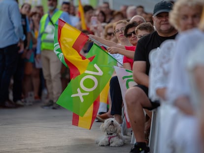 Las banderas de España y de Vox en un mitin del partido ultraderechista en Torrevieja, Alicante, el pasado 2 de julio.