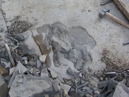 Imagen del momento en el que descubrió una huella del rastro en Las Hoyas. Imagen cedida por Ángela D. Buscalioni.