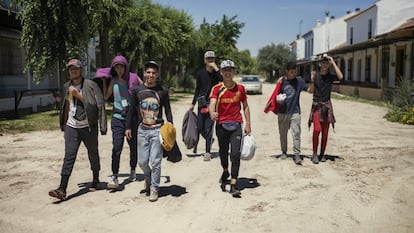 Un grupo de jóvenes migrantes que se incorporó durante el estado de alarma a la campaña de la recogida de frutos rojos en Huelva, en una imagen de mayo de 2020.