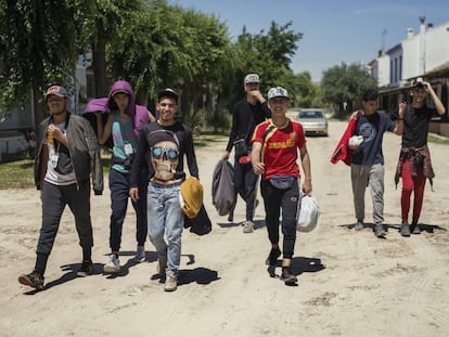 Un grupo de jóvenes migrantes que se incorporó durante el estado de alarma a la campaña de la recogida de frutos rojos en Huelva, en una imagen de mayo de 2020.