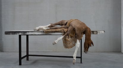 'Lost V,( 2021-2022), de la artista Berlinde de Bruyckere, que formó parte de la exposición 'No Life Lost - After Humanity' en la galería Pedro Cera de Lisboa.