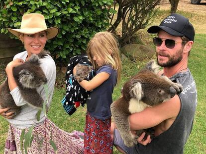 Chris Hemsworth, Elsa Pataky y su hija India Rosa con una familia de Koalas en brazos. "¿Cuál es el más bonito?", preguntaba la actriz española en Instagram.