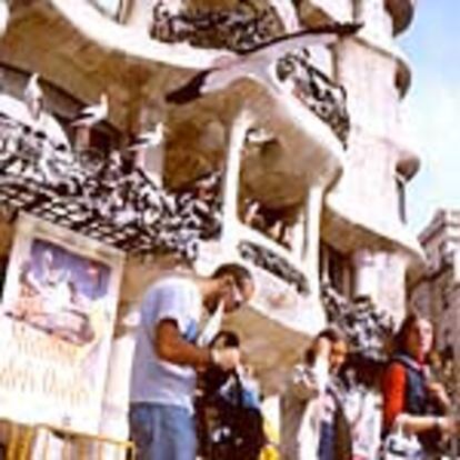 La Pedrera fue disfrazada con pájaros en octubre para celebrar el Día Mundial de las Aves.