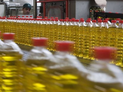 Botellas de aceite, en una empresa sevillana.
