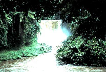 Selváticas y misteriosas, las cascadas de Rutshuru, en la montañosa región del Kivu (República Democrática del Congo), inspiraron las que aparecen en la serie de cómics' The Phantom' (El hombre enmascarado), creada en 1936 por Lee Falk.