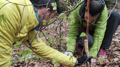 Aprender a sobrevivir en tiempos de incertidumbre
