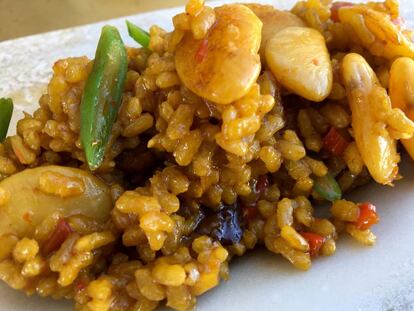 ARROZ CON VERDURAS LEGUMBRES Y SETAS DE TEMPORADA, BOMBA SEMI INTEGRAL / CAPEL