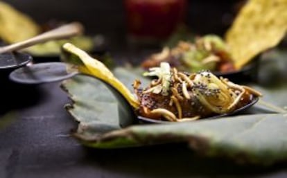 Dos de las degustaciones de la jornada "Insectos en el plato: una dieta saludable y sostenible" en la Universidad de Alicante.