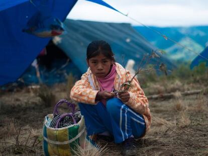 Uno de los campamentos improvisados donde viven precariamente los indígenas de la región de Guerrero afectados por el huracán Manuel (2013).