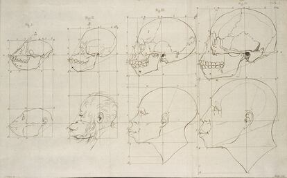 physiognomy of men of different climates and different ages