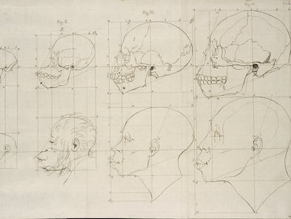 physiognomy of men of different climates and different ages