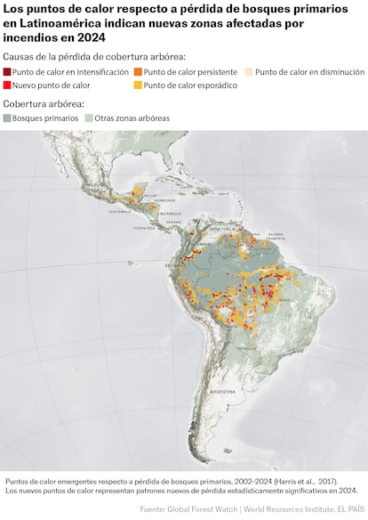 Puntos de calor respecto a pérdida de bosques 2024
