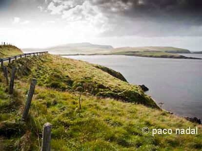 Aterrizaje en una isla sin árboles