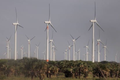 Parque eólico en el Estado de Oaxaca (sur de México).