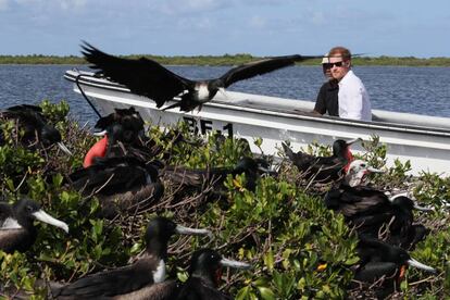 Durante su viaje oficial para celebrar el 50º aniversario de la independencia Barbados y Guyana, y el 35º de Antigua y Barbuda, Enrique también se ha paseado en lancha por un lago para admirar la fauna de Barbuda, donde se encientra una de las colonias de fregatas más grandes del mundo.