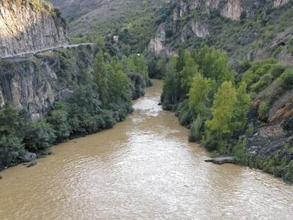 El río Sil contaminado por metales