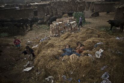 Niños refugiados afganos tumbados sobre un montón de paja en un barrio pobre en las afueras de Islamabad (Pakistán), 5 de diciembre 2013