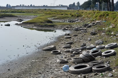 Contaminación en la Laguna de Palmillas, en la zona norte de Toluca (Estado de México), el 28 de abril de 2021.