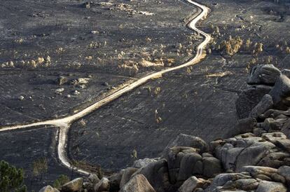 El monte de O Pindo tras el incendio