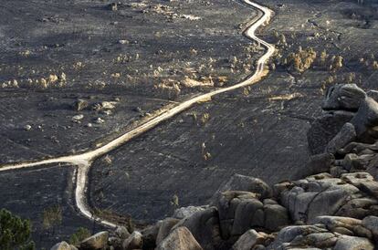 El monte de O Pindo tras el incendio 