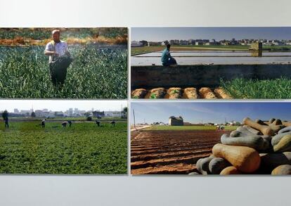 Imatges de l'exposició Hortografies, de Miquel Francés.