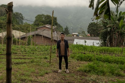 Miyer Hernán Legarda, de 28 años, imparte Educación Medioambiental en la Institución Educativa de Desarrollo Rural La Selva, en el municipio de Ginebra, del Valle del Cauca (Colombia). En la imagen, el docente posa en las huertas comunitarias del centro educativo, donde se planta frijol y cilantro, entre otros productos. 