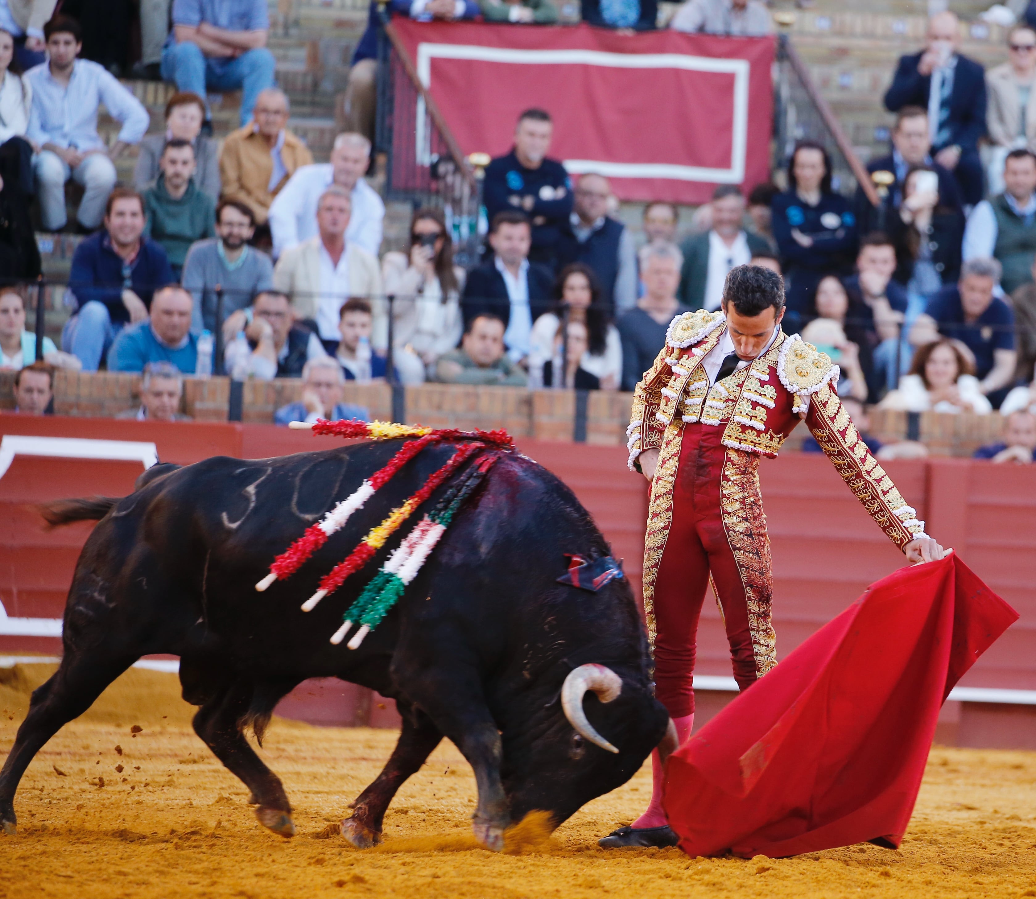 David de Miranda torea al natural al toro Tabarro, de Santiago Domecq, premiado en la pasada Feria de Abril.