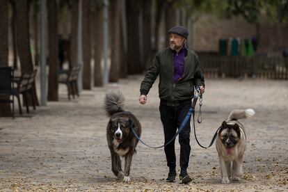 Un hombre pasea con dos perros por un parque de Barcelona.