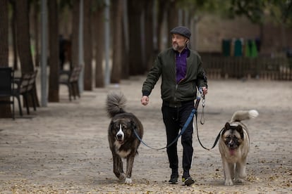 Un hombre pasea con dos perros por un parque de Barcelona.