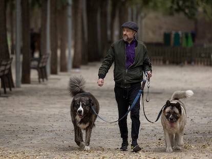 Un hombre pasea con dos perros por un parque de Barcelona.