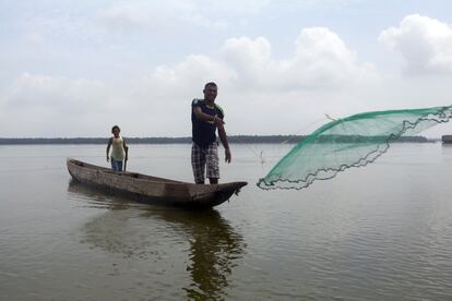 La pesca artesanal, de la que viven unas 15.000 personas en la Ciénaga, se ha resentido y con ello la seguridad alimentaria de la población. Las capturas han disminuido un 90% en menos de 20 años.