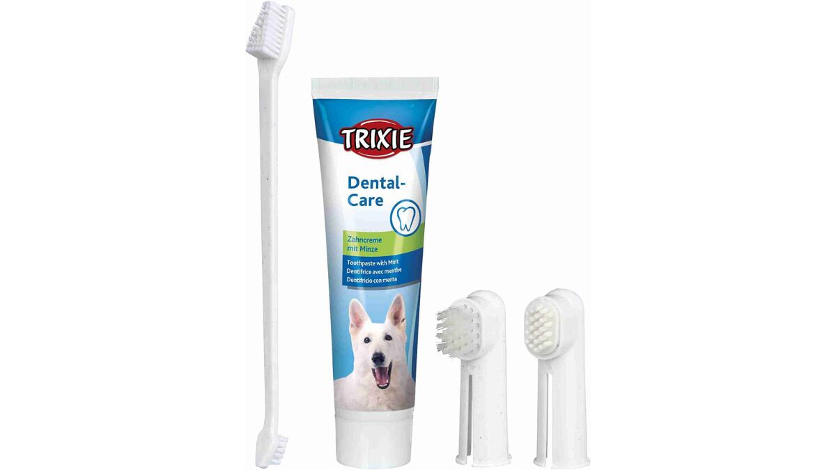 Set de cuidado dental.