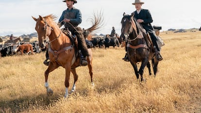 Una escena de la película 'El poder del perro'.