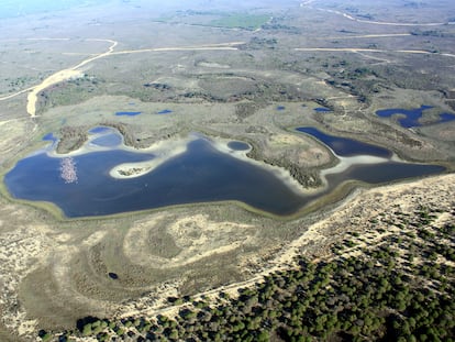 Vista aérea de la laguna de Santa Olalla, este lunes. ICTS/ Estación Biológica de Doñana