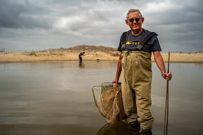 El biólogo Miguel Delibes de Castro, en una expedición para capturar cangrejos invasores en el río Cachón, junto a Zahara de los Atunes (Cádiz), el 7 de octubre.