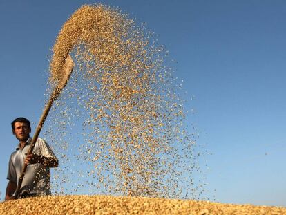 Un agricultor aventa el arroz en Tayikistán. 