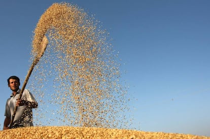 Un agricultor aventa el arroz en Tayikistán. 